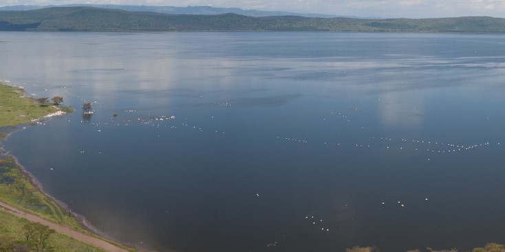 Lake Naivasha Water Levels Drops As Rivers Dry Up